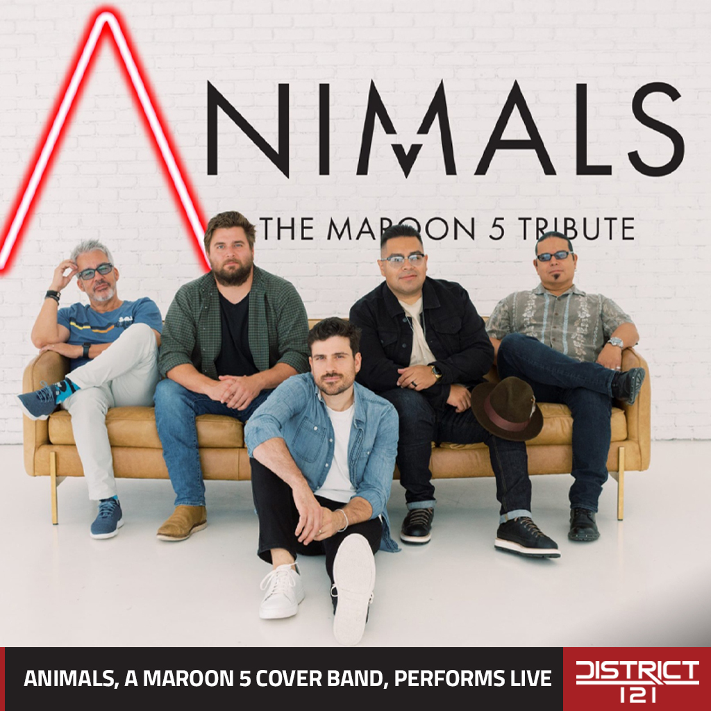 Animals, The Maroon 5 Tribute, in McKinney, TX.